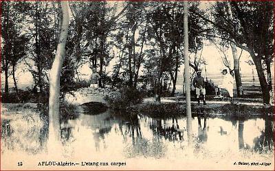 Aflou-EtangCarpes