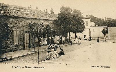 Aflou-MaisonHernandez
