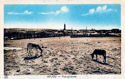 Aflou-VueGenerale