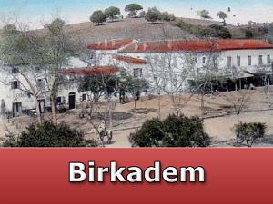 Birkadem