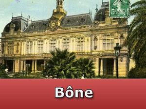 Bone