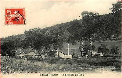 Bossuet-Pepiniere