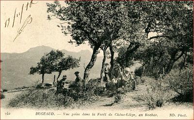 Bugeaud-Foret