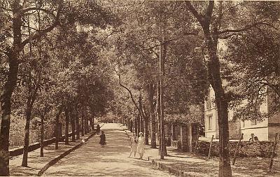 Bugeaud-Rue