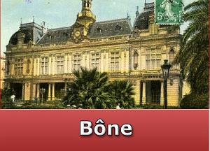 Bone