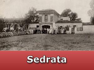 Sedrata