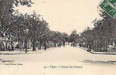 Taher-AvPalmiers-01