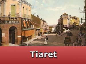 Tiaret