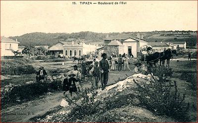 Tipaza-BdEst