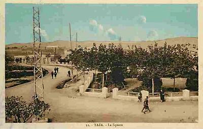 Taza-Square