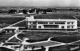 Alger-LaboAgriculture-EssaisSemances