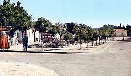 Afflou-RueDeTiaret