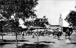 Ain-Beida-Mosquee