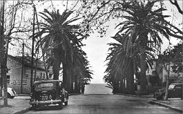 Ain-Taya-AvPlage