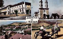 Arba-MVues