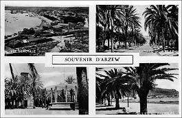 Arzew-MVues (2)