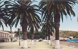 Arzew-PalmeraiePort