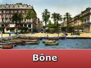 Bone