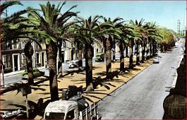 Boufarik-Allees