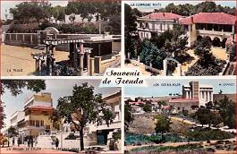Frenda-MVues