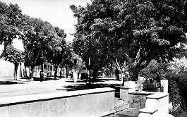 Frenda-Rue