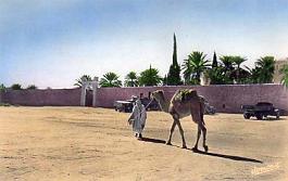 Ghardaia-EnceinteBordj
