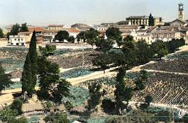 Guelma-VueGenerale