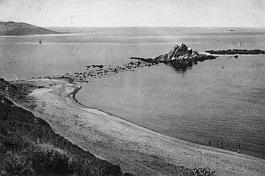 El-Marsa