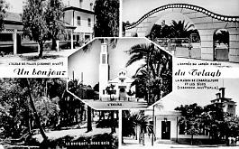 Le-Telagh-MVues