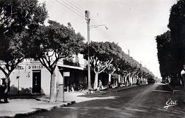 Marengo-RuePpale