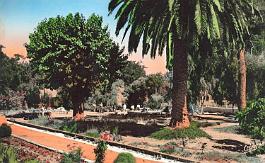 Marnia-JardinPublic
