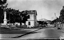 Novi-AvenueTenes