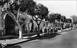 Novi-Rue
