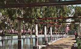 Palikao-Pergola