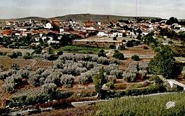 Saida-Vue