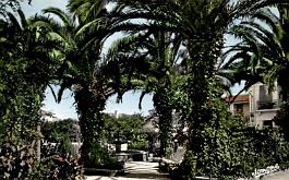 Staoueli-Square