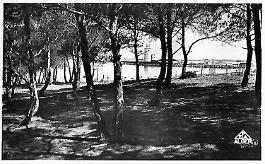 Tenes-Port-01