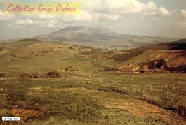 Tipaza-Chenoua-SD