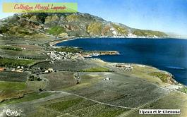 Tipaza-Chenoua