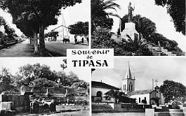 Tipaza-MVues