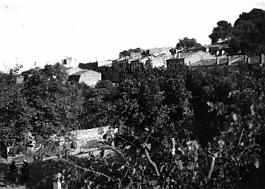 Zemmora-Pepiniere