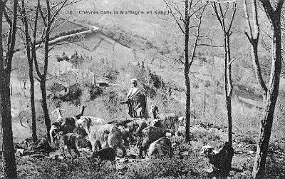 Kabylie-Chevres