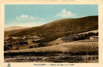 Yakouren-DepotLiege