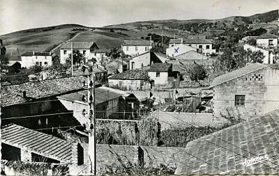 Abbo-Vue-01