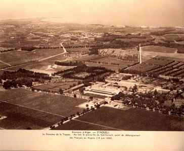 Staoueli