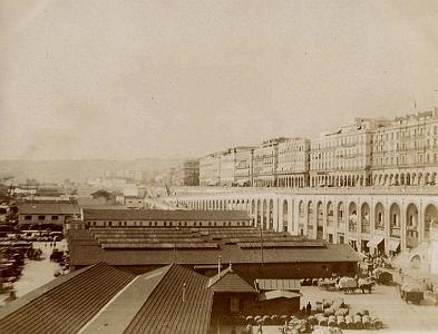 Alger-01