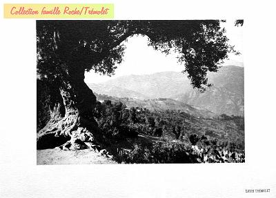 Kabylie-01