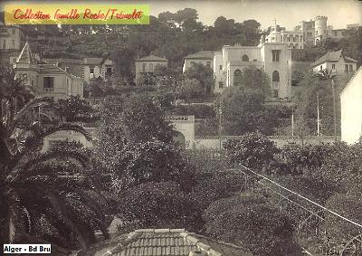 Alger-LT-002
