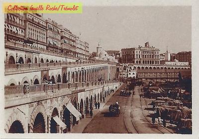 Alger-LT-004