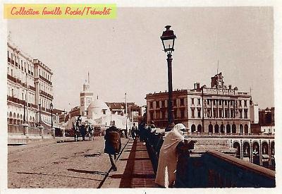 Alger-LT-005